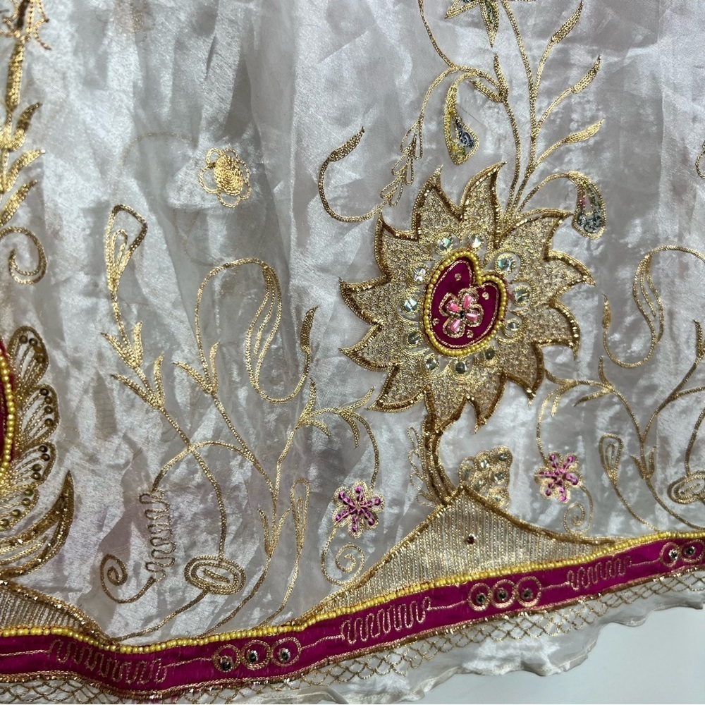 Saree Shawl with Skirt Set- Sheer pearl with sun embroidery and beading - Picture 10 of 10